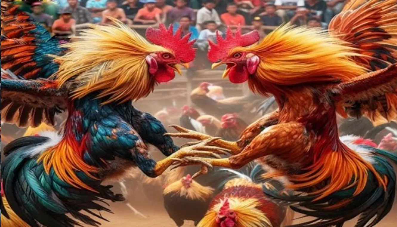 774pub 777pub login register exclusive promotions